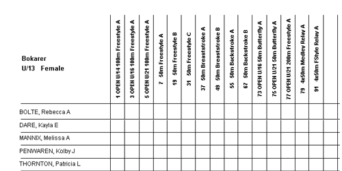 Competitor Entry Sheet